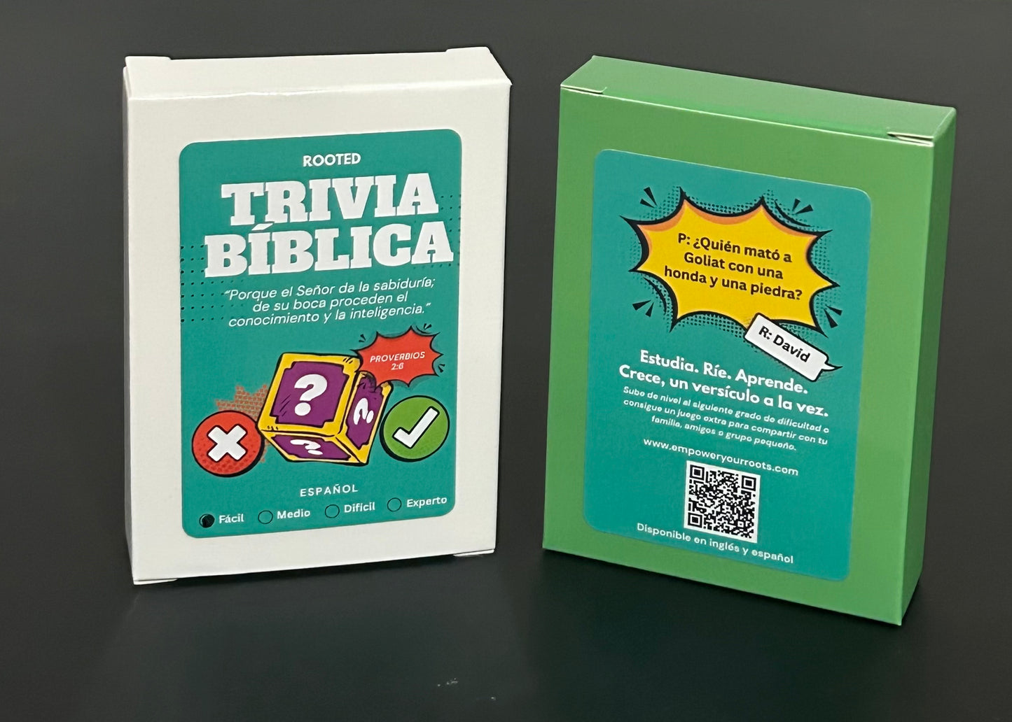 Bible Trivia Card Game – Christian Family & Youth Group Bible Study Game (4 Levels)